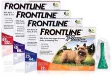 Save Money on Pet Costs By Splitting Doses of Frontline Plus Flea Medication ($0.66 a Month w/ Generic!)