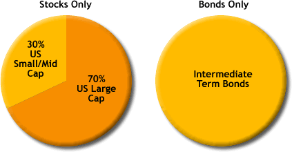 Asset Allocation Pie Chart, Young Investor