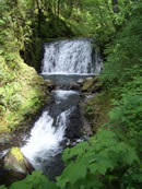 Multnomah Falls Hike