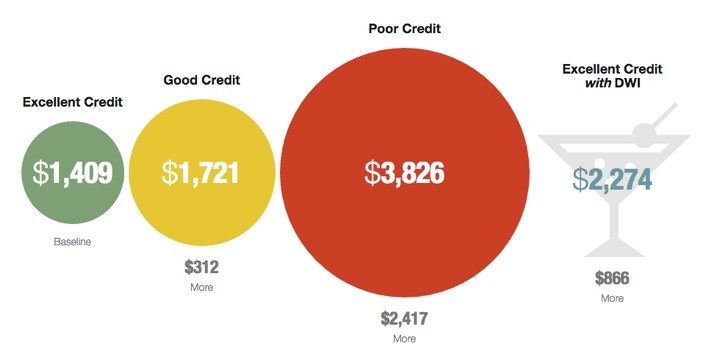 Progressive Insurance Loyalty Chart