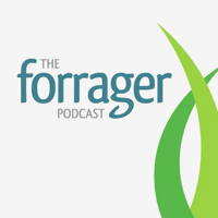 Forrager Podcast: Start Your Own Home-Based Food Business