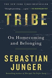 Three Pillars of Self-Determination: Autonomy, Competence, and Community