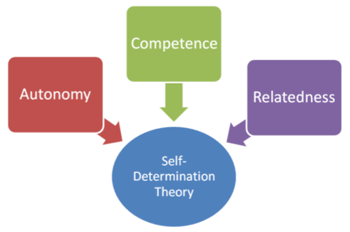Three Pillars of Self-Determination: Autonomy, Competence, and Community