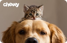 Chewy National Dog Day Sales: Spend $100, Get $30 Gift Card + 10% Off All Gift Cards