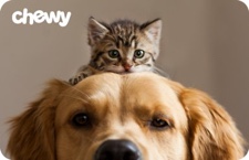 Chewy National Dog Day Sales: Spend 0, Get  Gift Card + 10% Off All Gift Cards